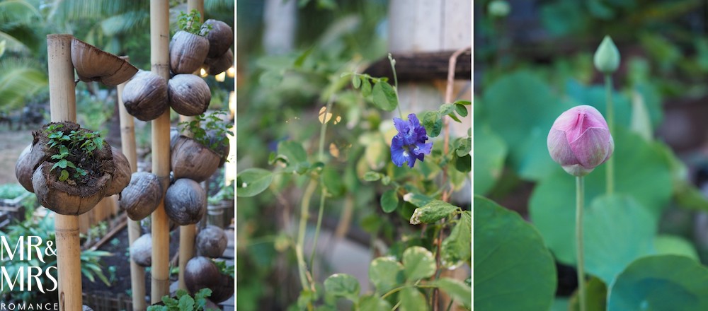 Real Thai food in Krabi - garden at Ruen Mai Restaurant, Krabi